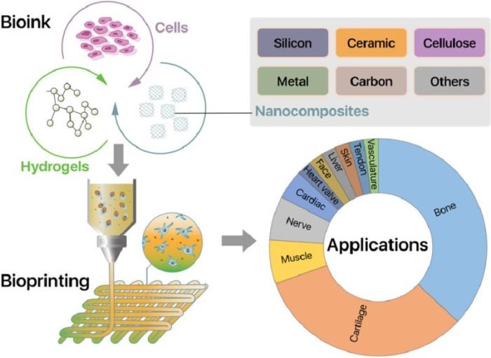 Review Paper: Nanocomposite bioinks for 3D bioprinting