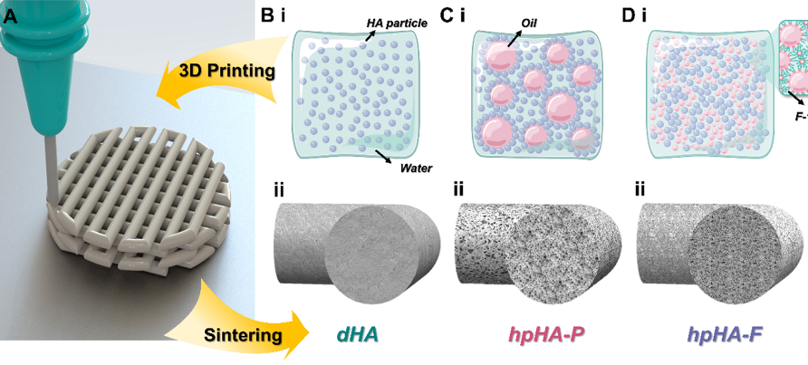 Research Paper:  Controlling the microstructure of bioceramic scaffolds using 3DP emulsion inks