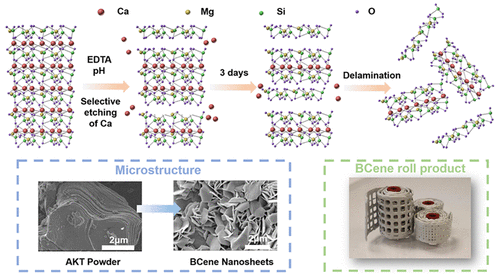 Research Paper: A Universal Chelation-Induced Selective Demetallization Strategy for Bioceramic Nanosheets (BCene)