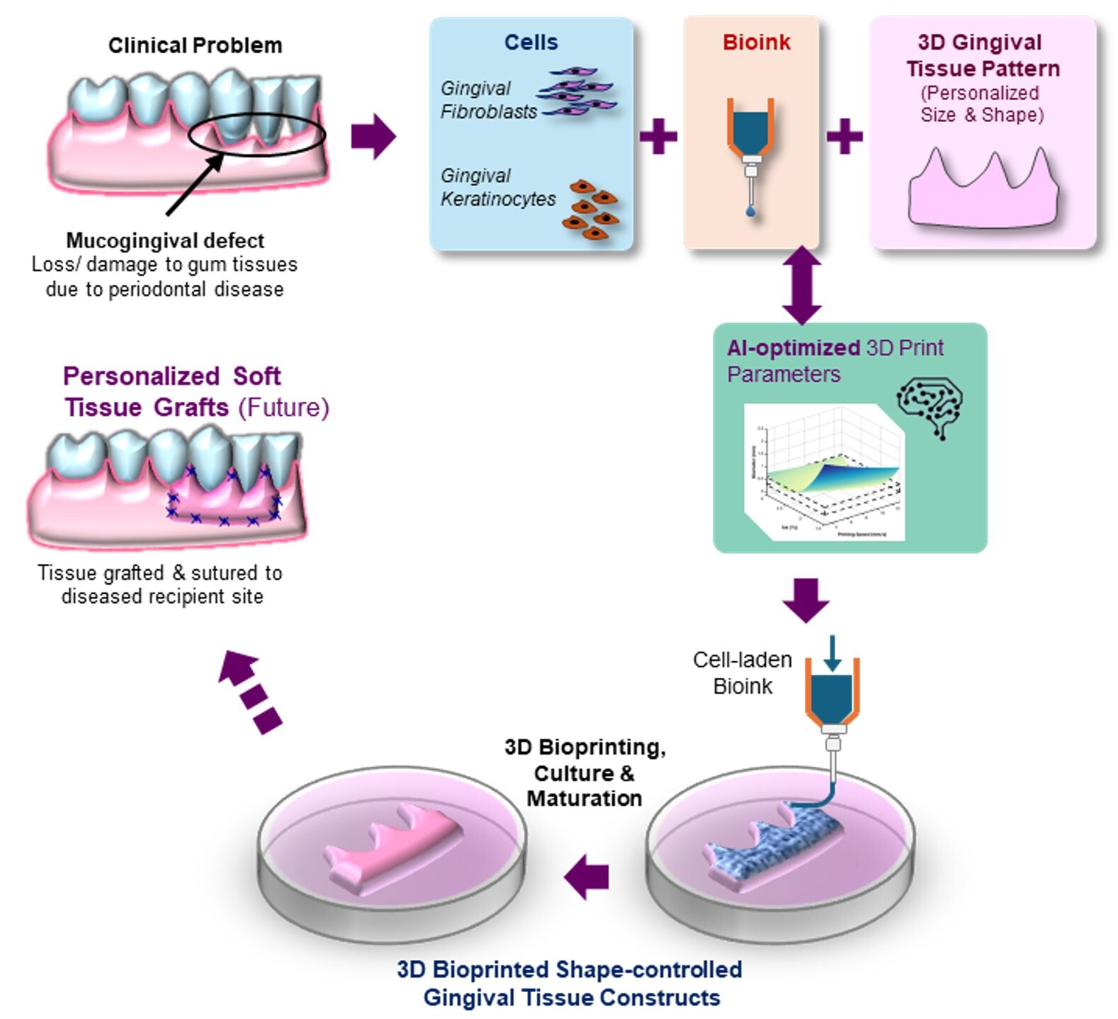 Research Paper: 3D Bioprinting and Artificial Intelligence-Assisted Biofabrication of Personalized Oral Soft Tissue Constructs