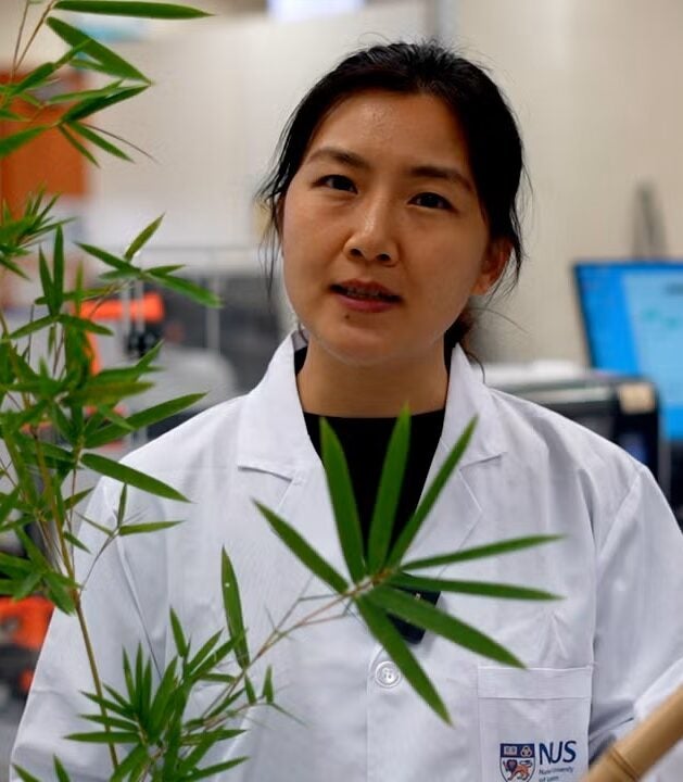 Research Paper: Bamboo-inspired Ultra-strong Nanofiber-reinforced Composite Hydrogels
