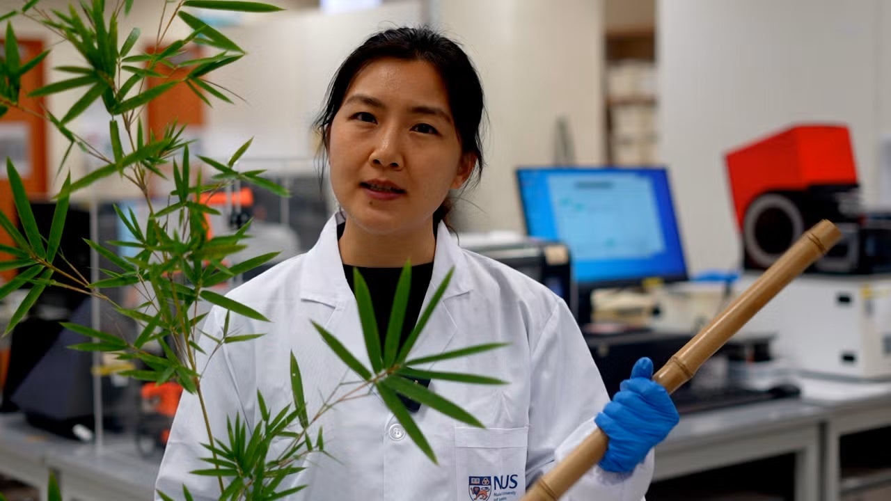 Research Paper: Bamboo-inspired Ultra-strong Nanofiber-reinforced Composite Hydrogels