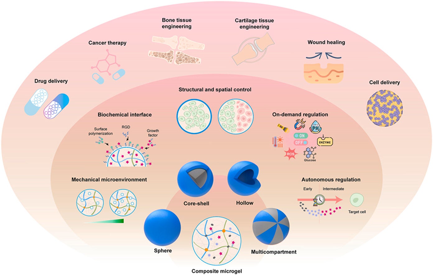 Review Paper: Multifunctional Composite Microgels: From Structural Design to Biomedical Applications